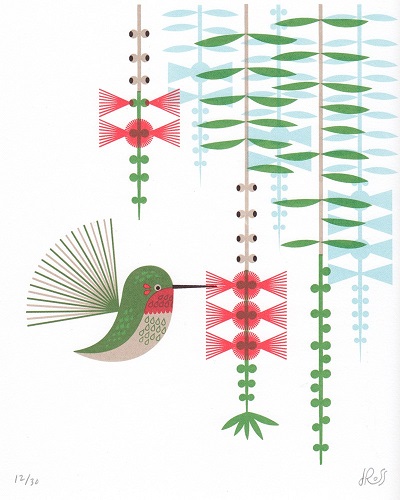 humming bird print